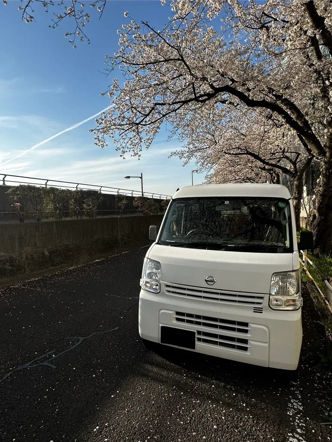 桜並木に停まる白い配送車両